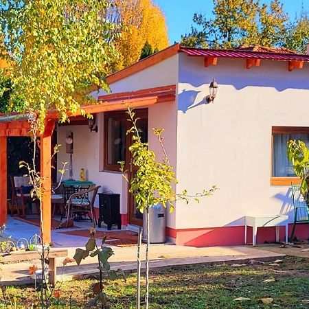 Secret Garden Apartman Budapest Luaran gambar